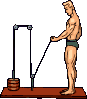 musculação imagens-animadas-gif